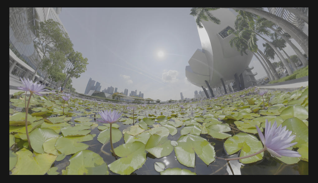 Insta360 X6 footage before Cine LUT