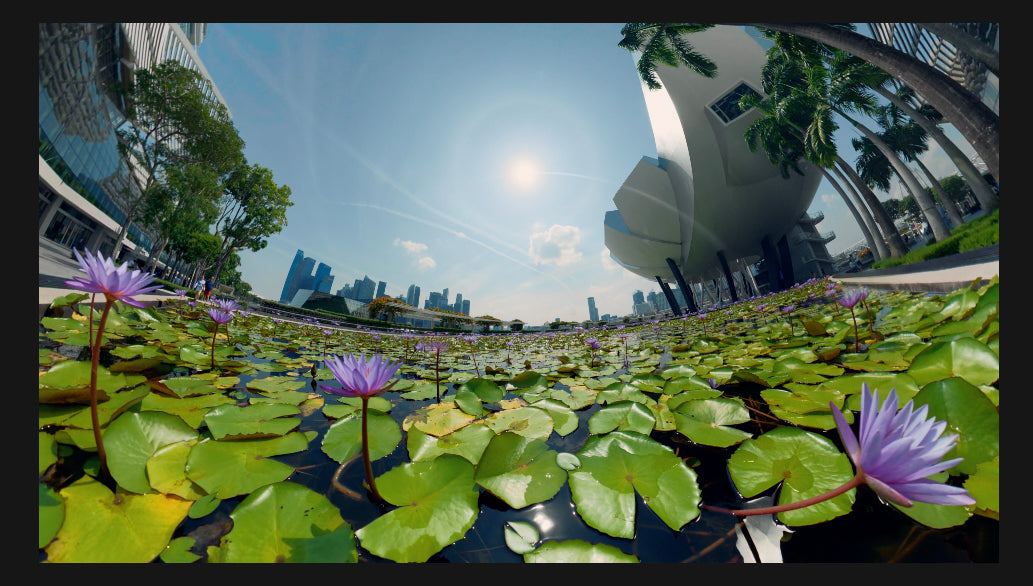 Insta360 X6 footage after Cine LUT